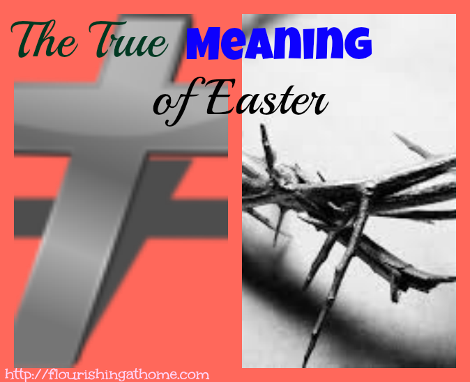 Snippets From God's Word Series Easter Part 2 "The True Meaning of