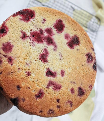 Lemon-Raspberry-Cake-Recipe-Raspberry-Lemon-Cake-Recipe-Raspberry-Cake-How-to-Make-Raspberry-Cake-Summer-Dessert-Recipes-Spring-Desserts-Cake-Recipes-Desserts-athomewithzan
