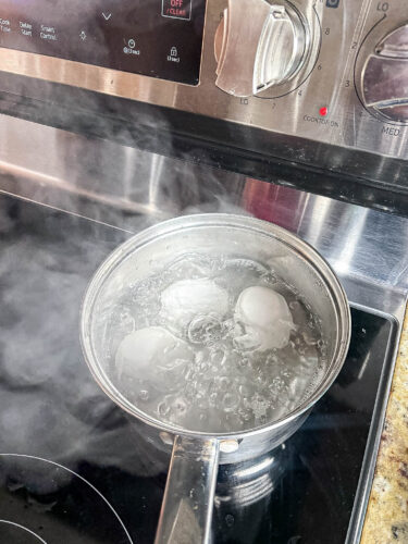 How-to-Save-Money-on-Meals-While-On-Vacation-Meals-Ive-Made-While-on-Vacation-How-to-Budget-for-Meals-on-Vacation-Breakfast-Lunch-Dinner-athomewithzan-16.jpg