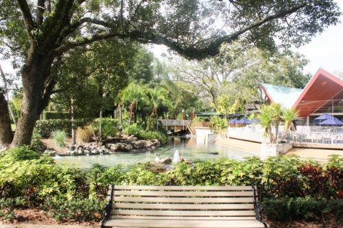 Busch Gardens Florida