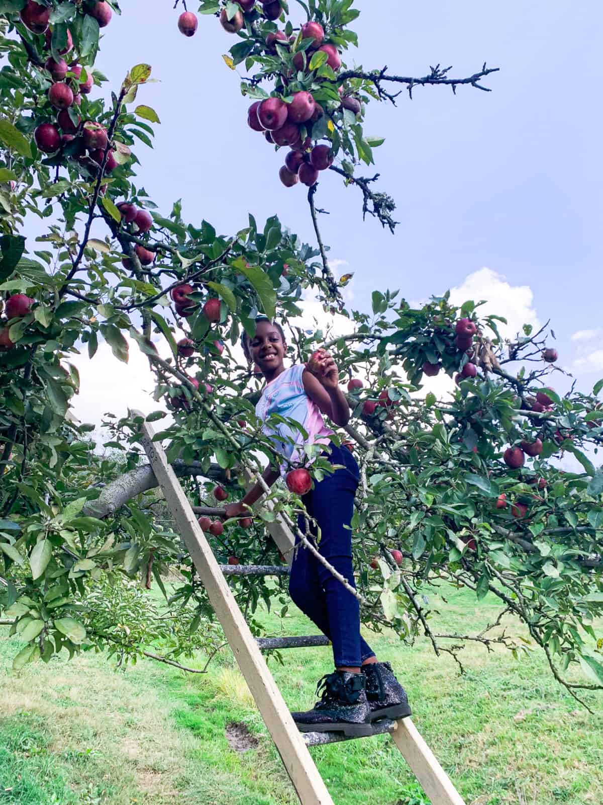 Apple Picking - Fall Family Activities