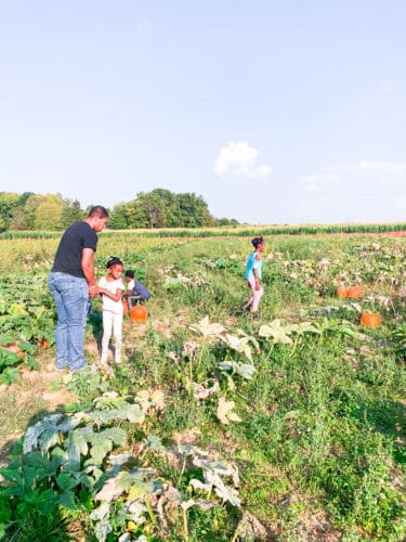 trip to the pumpkin patch