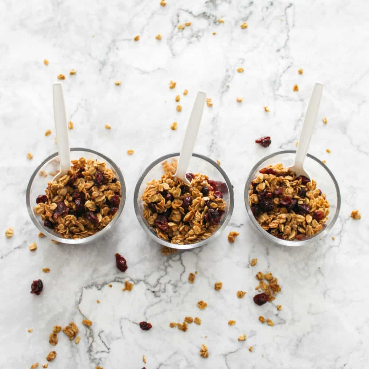 granola snack bowls