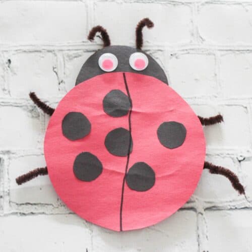 Paper Ladybugs