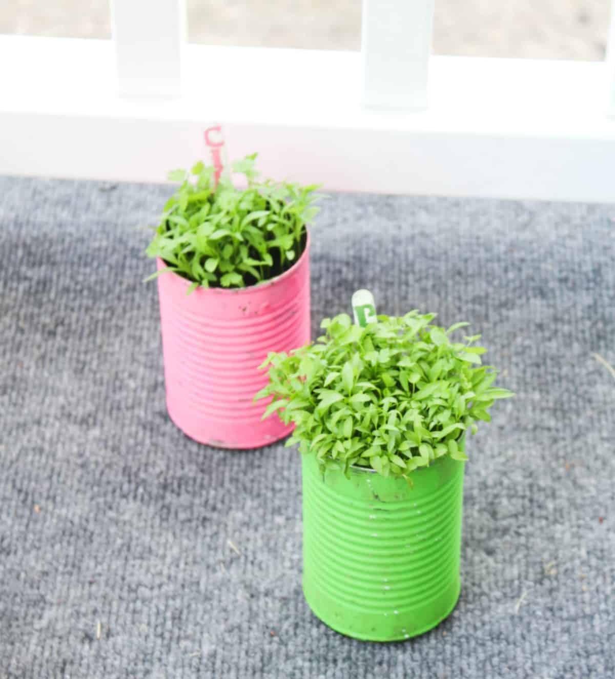 Tin Can Flower Pots Planters