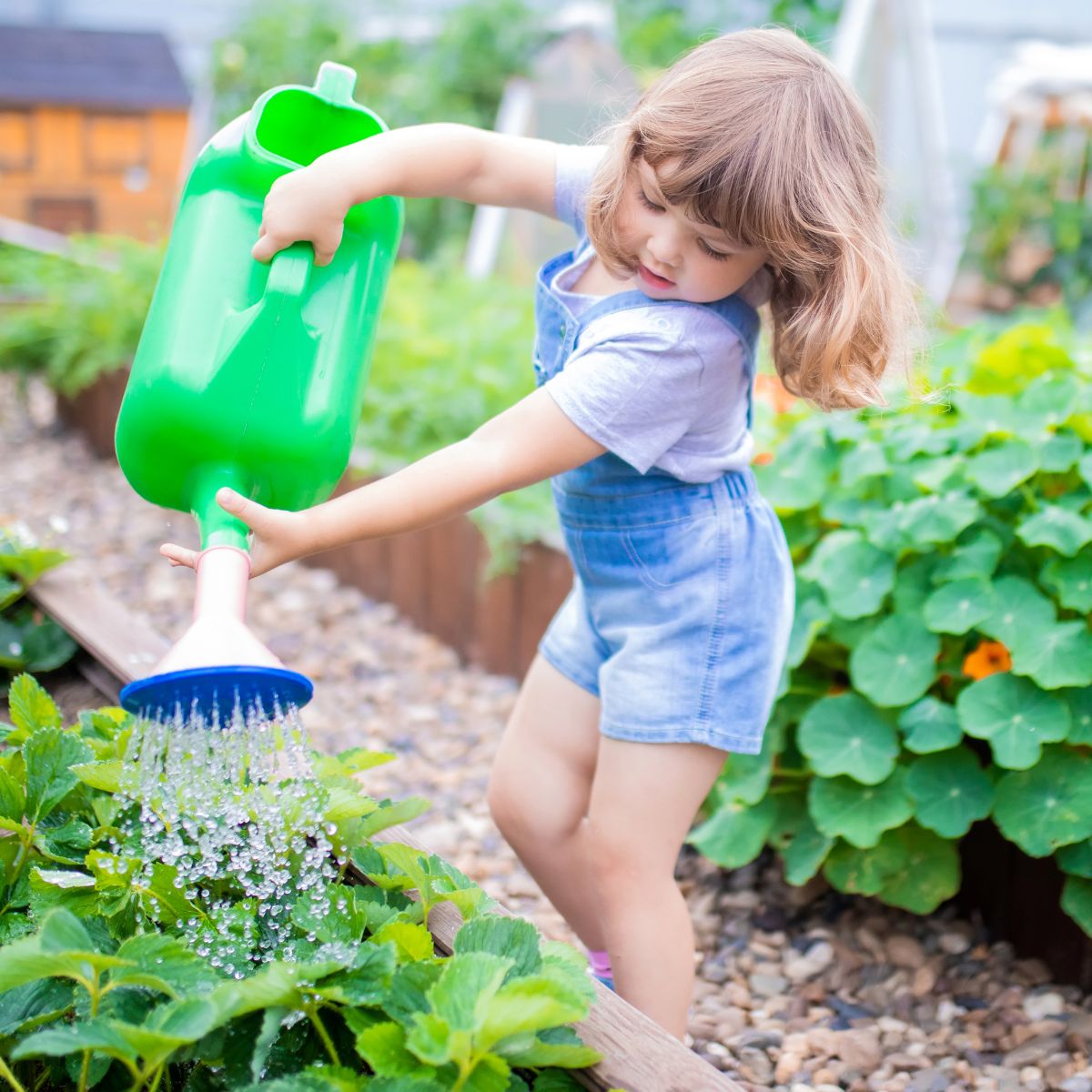 Watering-Plants-Kids-Chores-Plants-Flowers-Toddler-Chores-athomewithzan