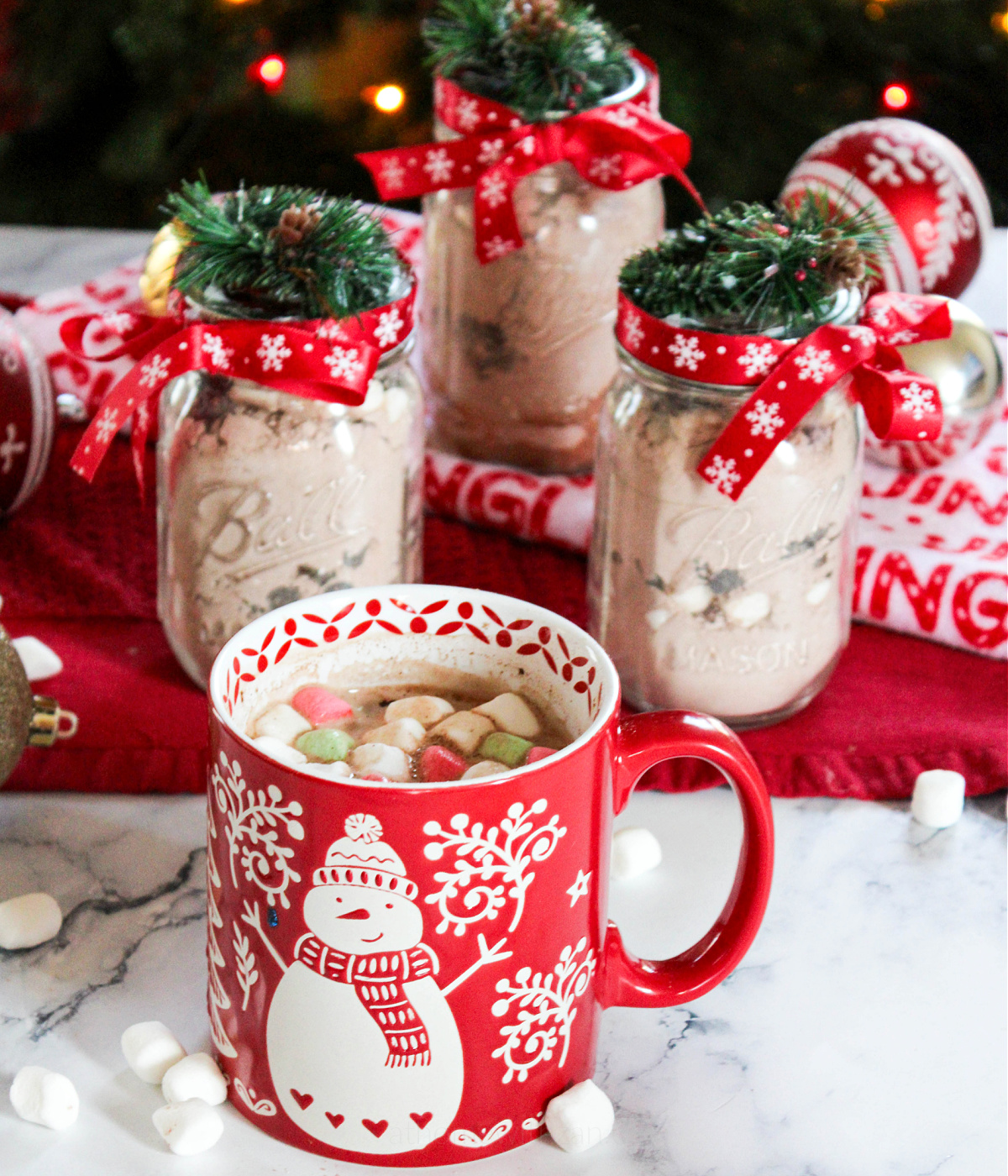 Hot-Cocoa-Mix-Hot-Chocolate-Mix-Christmas-Gift-athomewithzan.com