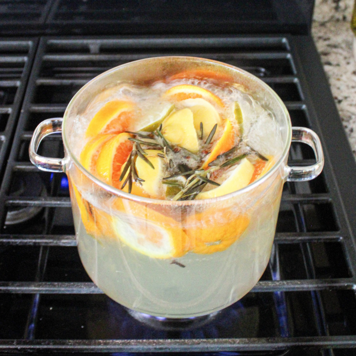 Citrus Simmer Pot - athomewithzan.com